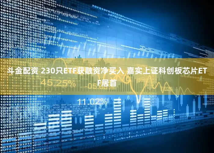 斗金配资 230只ETF获融资净买入 嘉实上证科创板芯片ETF居首